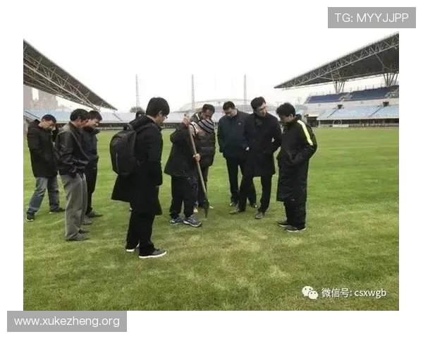 万博狼队在线登录入口安全稳定，便捷操作享受专业足球赛事观看体验