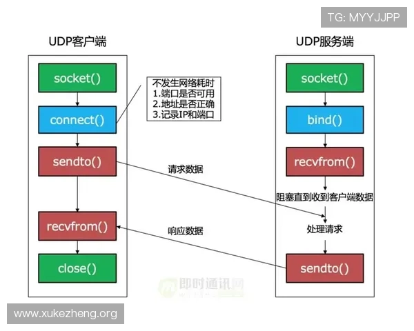 B sports官网平台的移动端体验优化与多设备同步操作指南