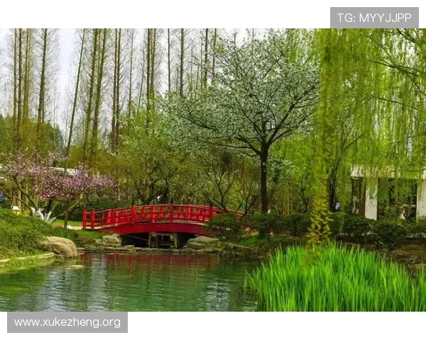 万博官方登录入口详细指南,帮助新手快速注册登录享受丰富游戏内容与优惠福利 万博官方登录入口详细指南,帮助新手快速注册登录享受丰富游戏内容与优惠福利