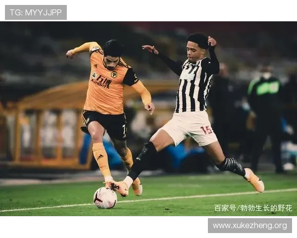 万博狼队在线：如何快速加入并体验最流畅的游戏对战体验