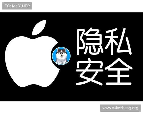 多米官网安全保障措施及用户隐私保护政策全面介绍